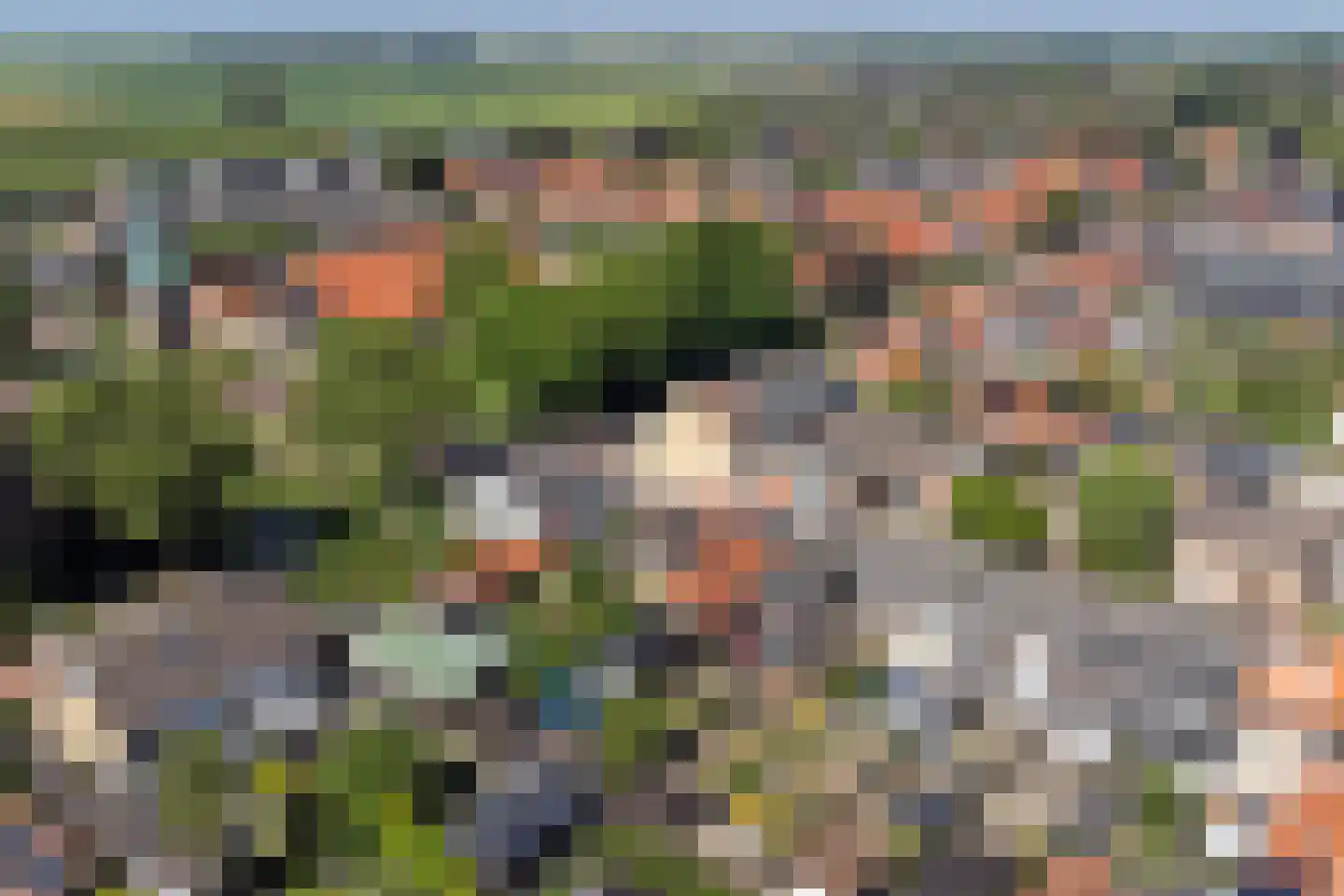 Valckenisseweg 55 Rilland thumbnail 44