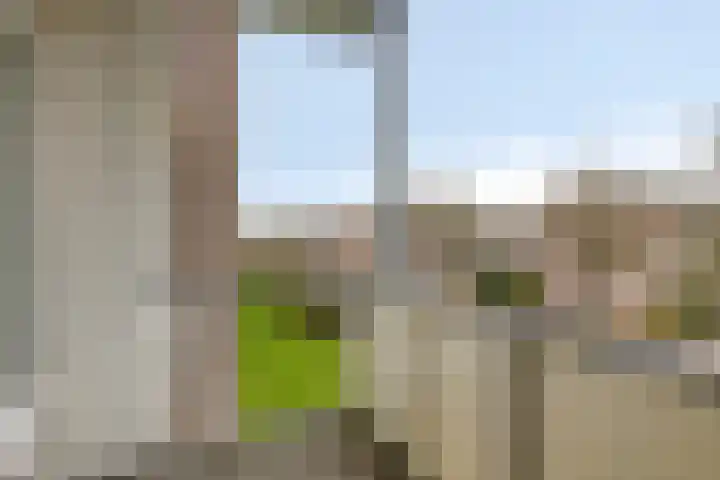 Valckeslotlaan 11 Goes thumbnail 19