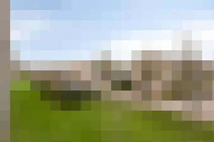 Valckeslotlaan 11 Goes thumbnail 20