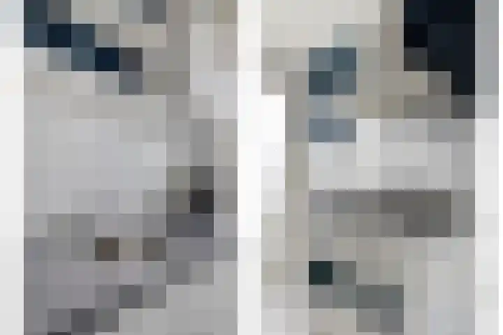 Valckeslotlaan 11 Goes thumbnail 24