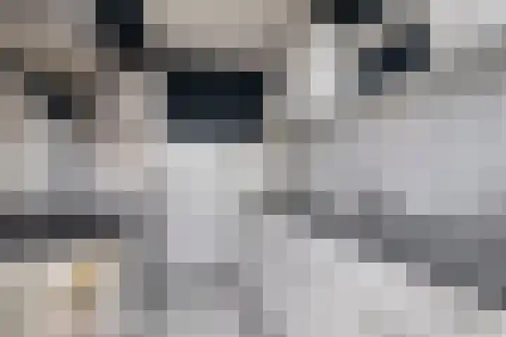 Valckeslotlaan 11 Goes thumbnail 25