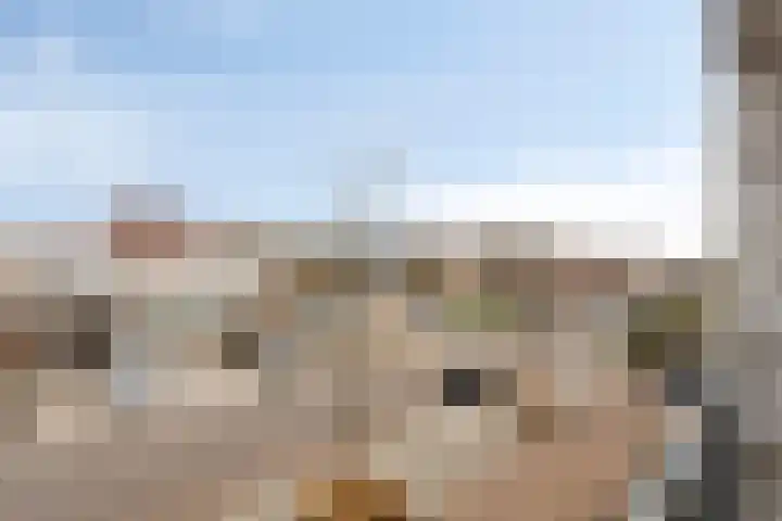 Valckeslotlaan 11 Goes thumbnail 27