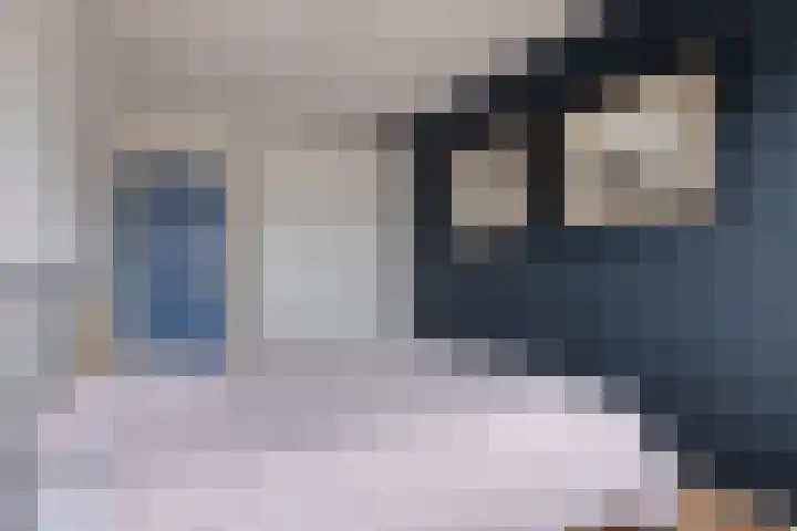Valckeslotlaan 11 Goes thumbnail 31