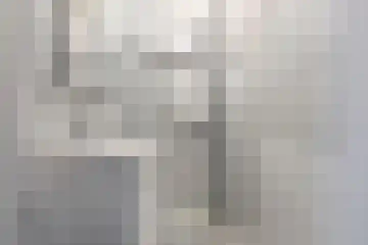 Valckeslotlaan 11 Goes thumbnail 32