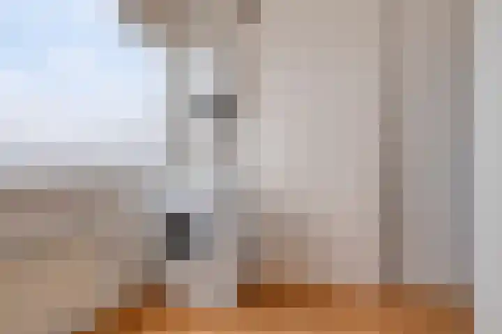 Valckeslotlaan 11 Goes thumbnail 36