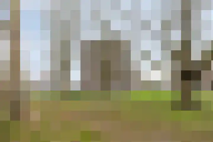 Valckeslotlaan 11 Goes thumbnail 42