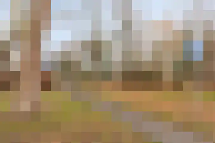 Valckeslotlaan 11 Goes thumbnail 45