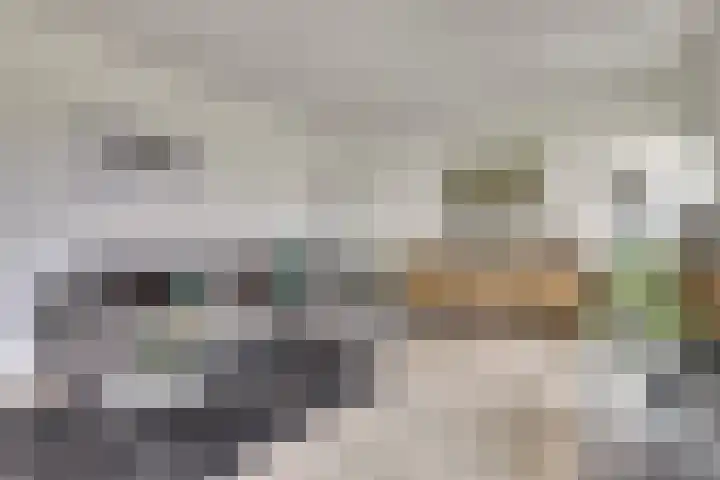 Valckeslotlaan 127 Goes thumbnail 10