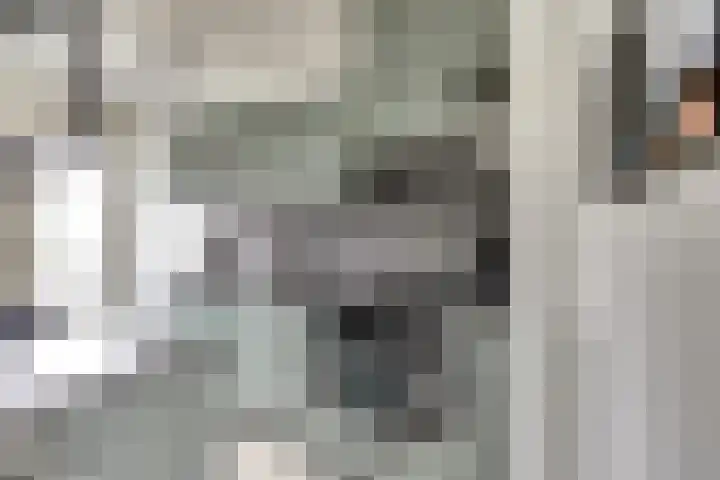 Valckeslotlaan 127 Goes thumbnail 11