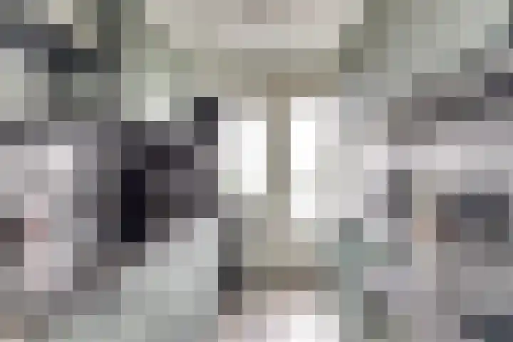 Valckeslotlaan 127 Goes thumbnail 12