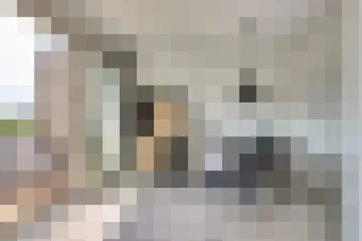 Valckeslotlaan 127 Goes thumbnail 17
