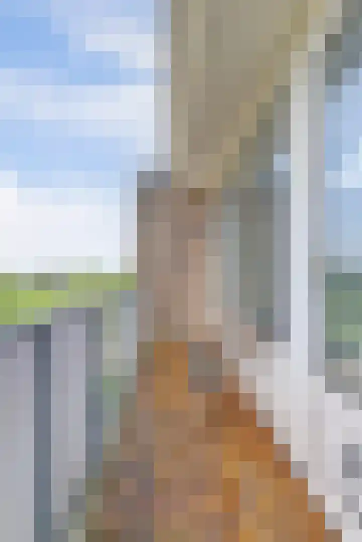 Valckeslotlaan 127 Goes thumbnail 18