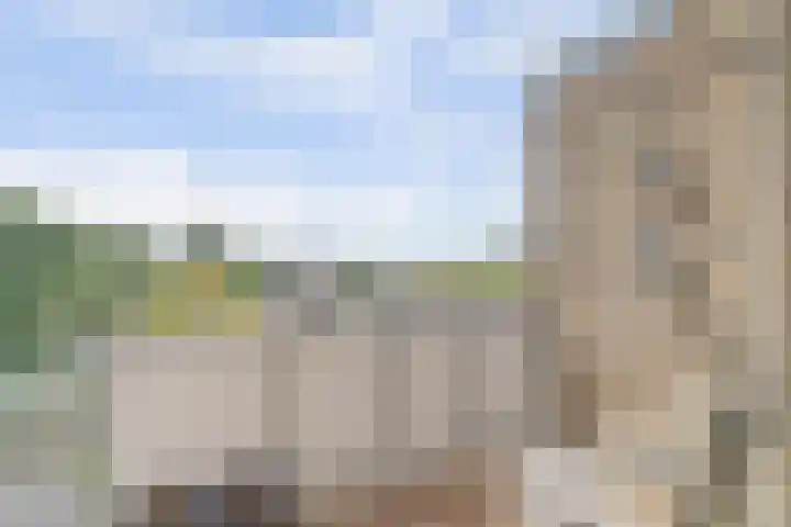 Valckeslotlaan 127 Goes thumbnail 22