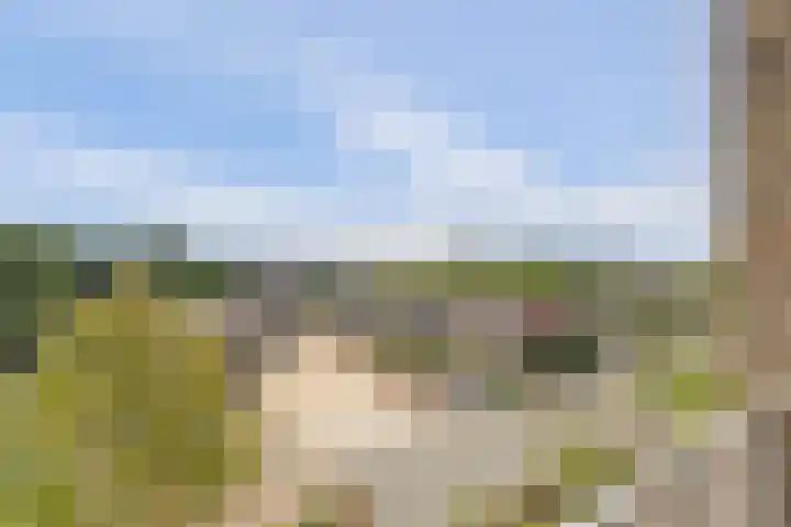Valckeslotlaan 127 Goes thumbnail 23