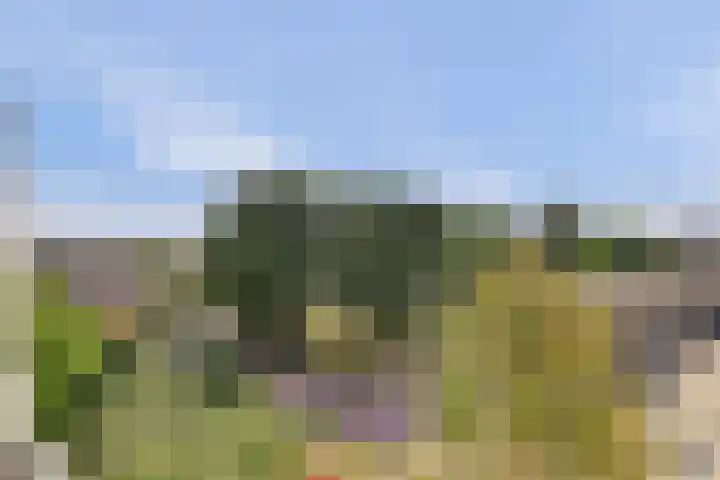 Valckeslotlaan 127 Goes thumbnail 24