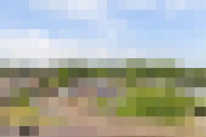 Valckeslotlaan 127 Goes thumbnail 25
