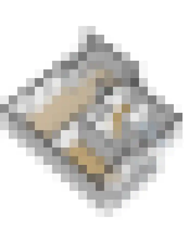 Valckeslotlaan 127 Goes thumbnail 26