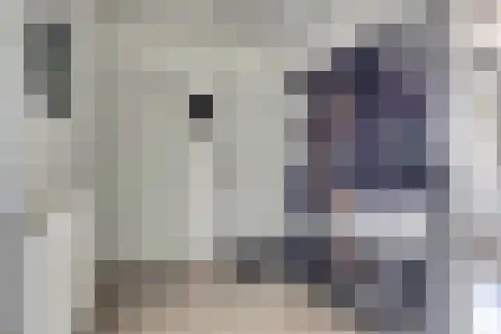Valckeslotlaan 127 Goes thumbnail 6