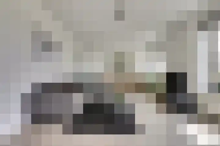 Valckeslotlaan 127 Goes thumbnail 7