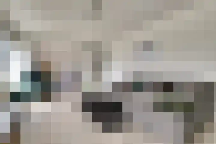 Valckeslotlaan 127 Goes thumbnail 8