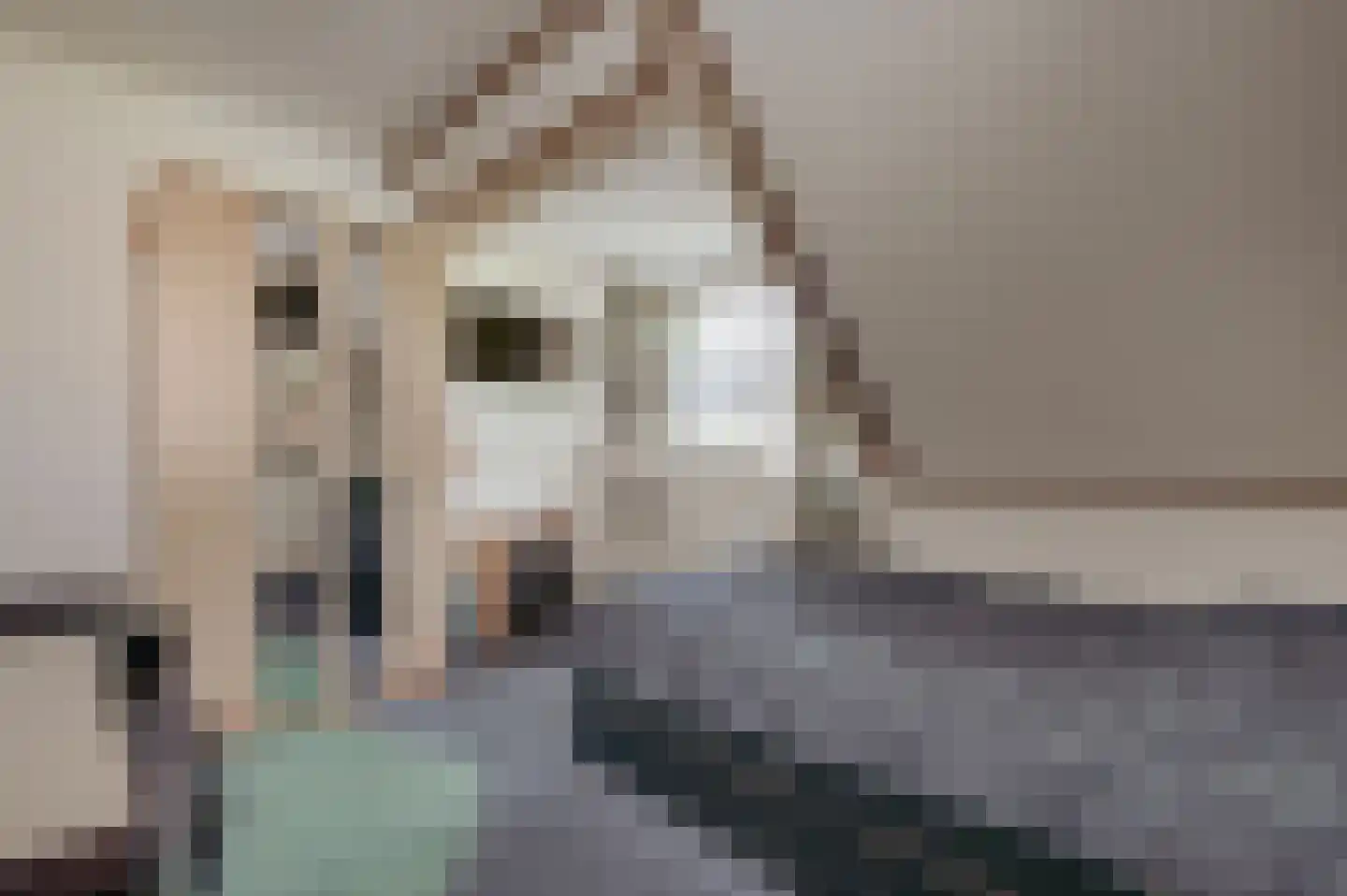 Valckeslotlaan 145 Goes thumbnail 23