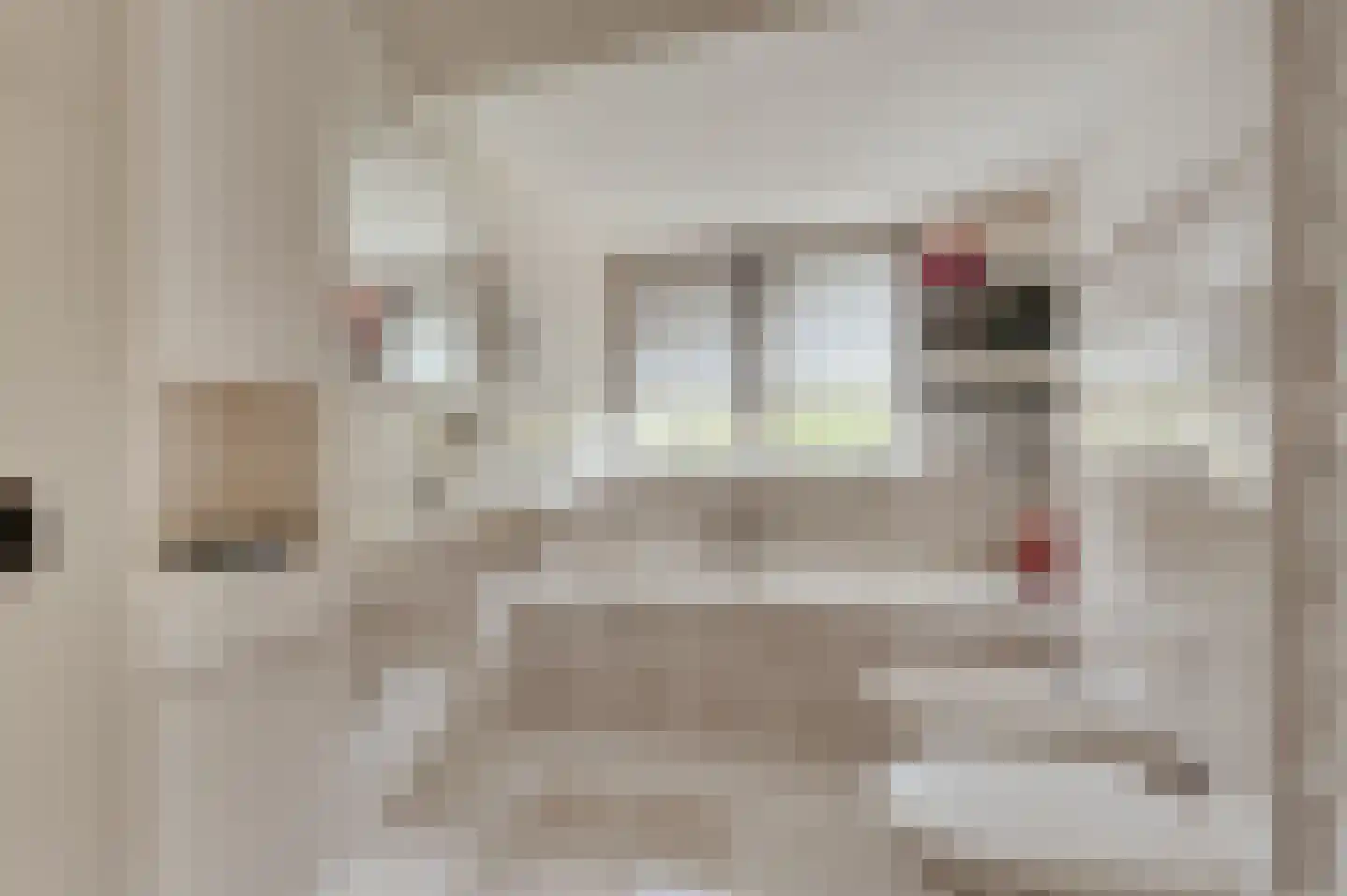 Valckeslotlaan 145 Goes thumbnail 27