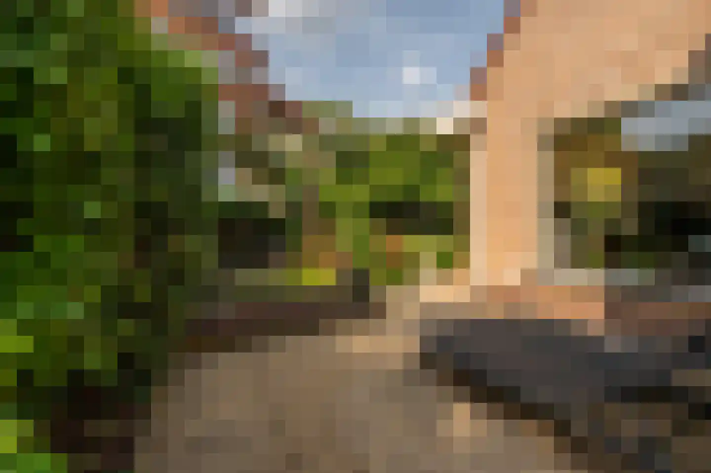 Valckeslotlaan 145 Goes thumbnail 30