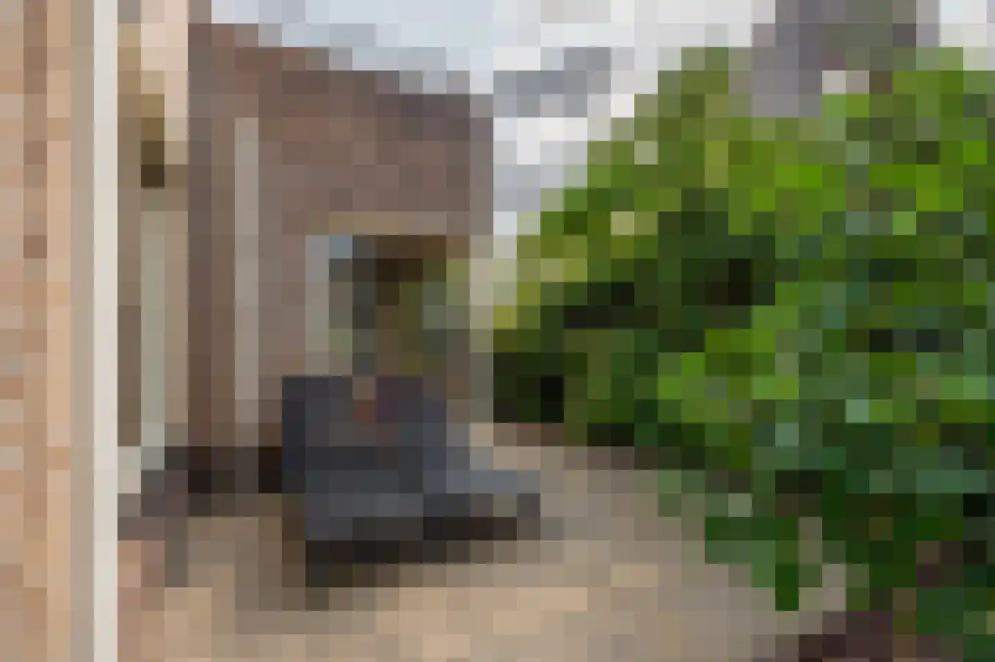 Valckeslotlaan 145 Goes thumbnail 31
