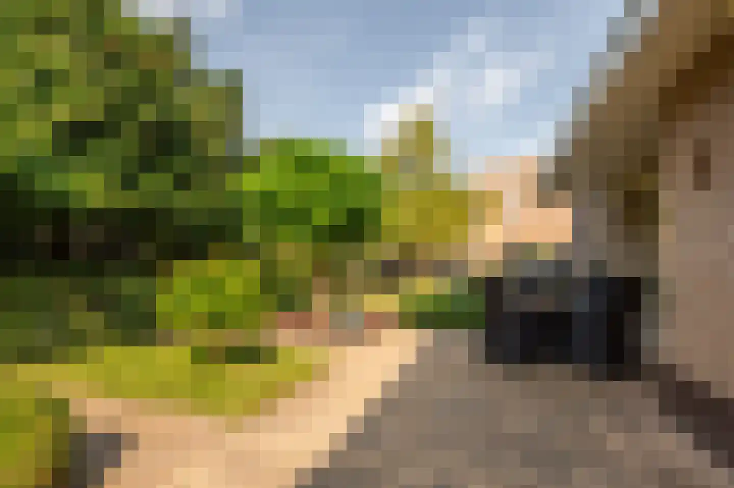 Valckeslotlaan 145 Goes thumbnail 32