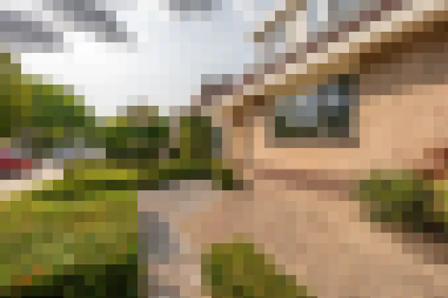 Valckeslotlaan 145 Goes thumbnail 33