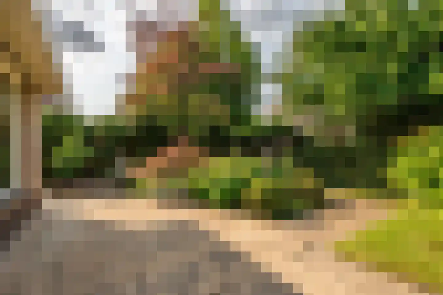 Valckeslotlaan 145 Goes thumbnail 35