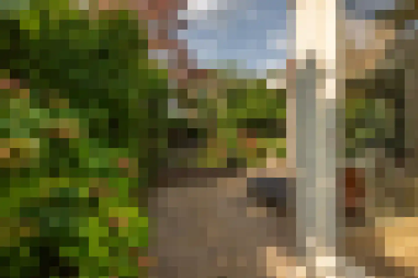 Valckeslotlaan 145 Goes thumbnail 36