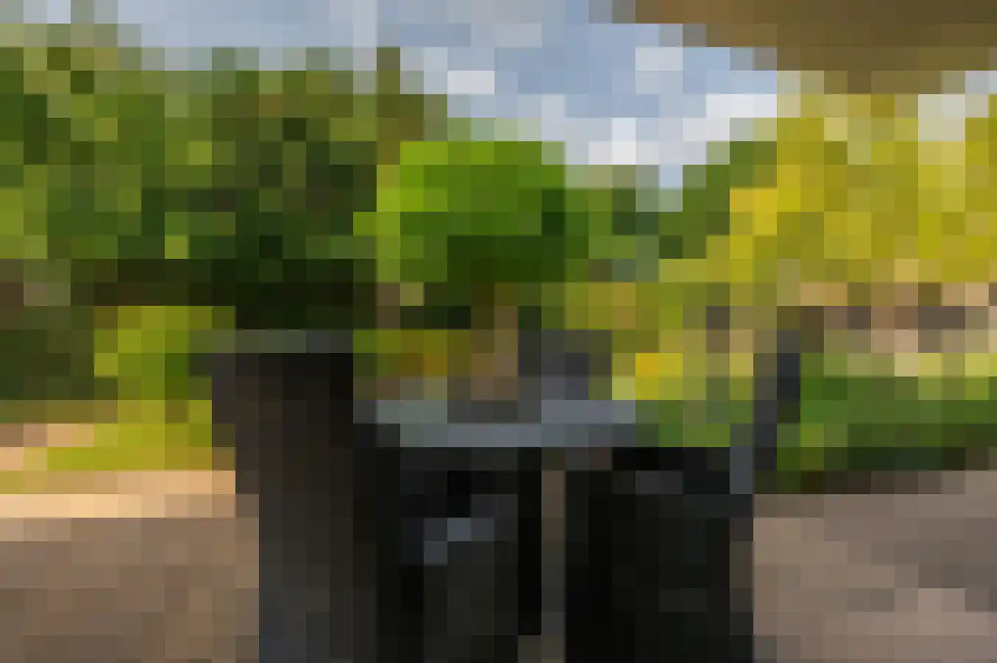 Valckeslotlaan 145 Goes thumbnail 37