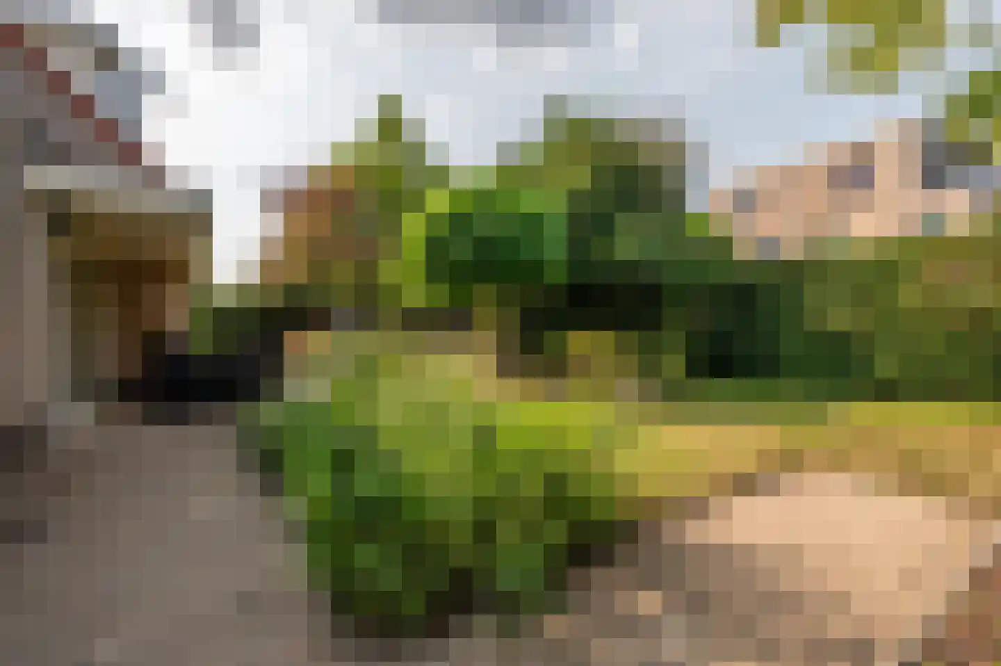 Valckeslotlaan 145 Goes thumbnail 39