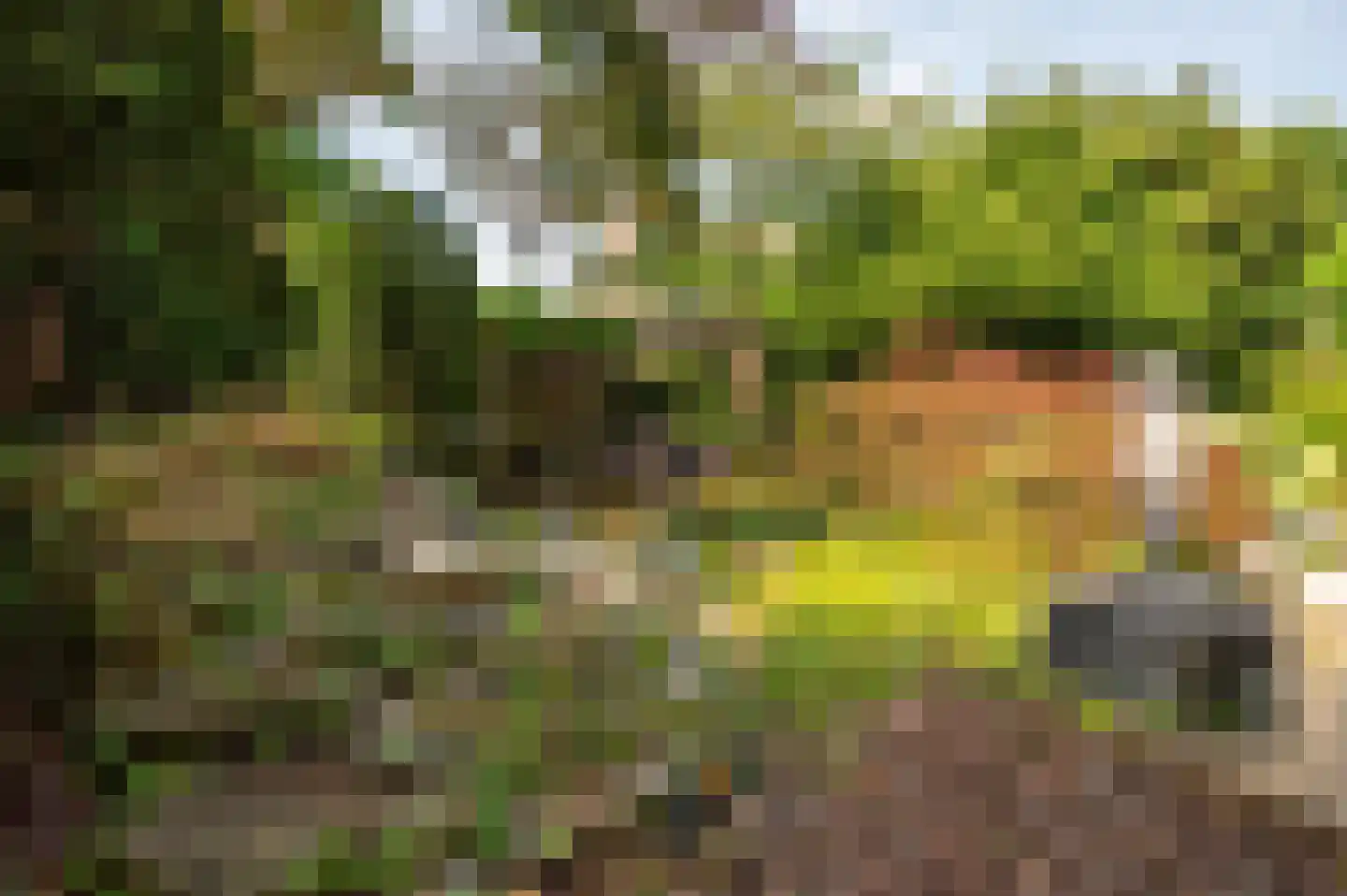 Valckeslotlaan 145 Goes thumbnail 40