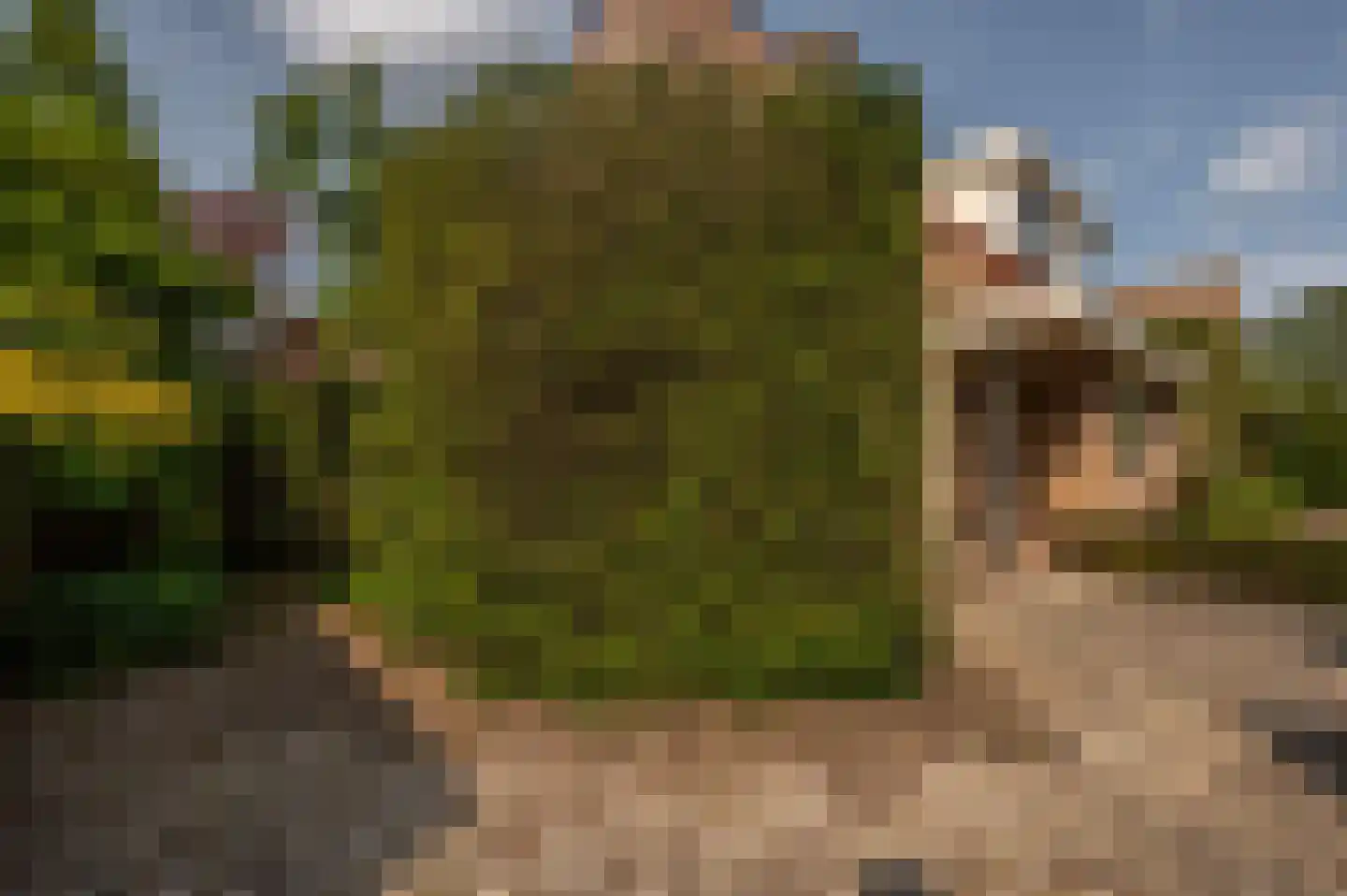 Valckeslotlaan 145 Goes thumbnail 42