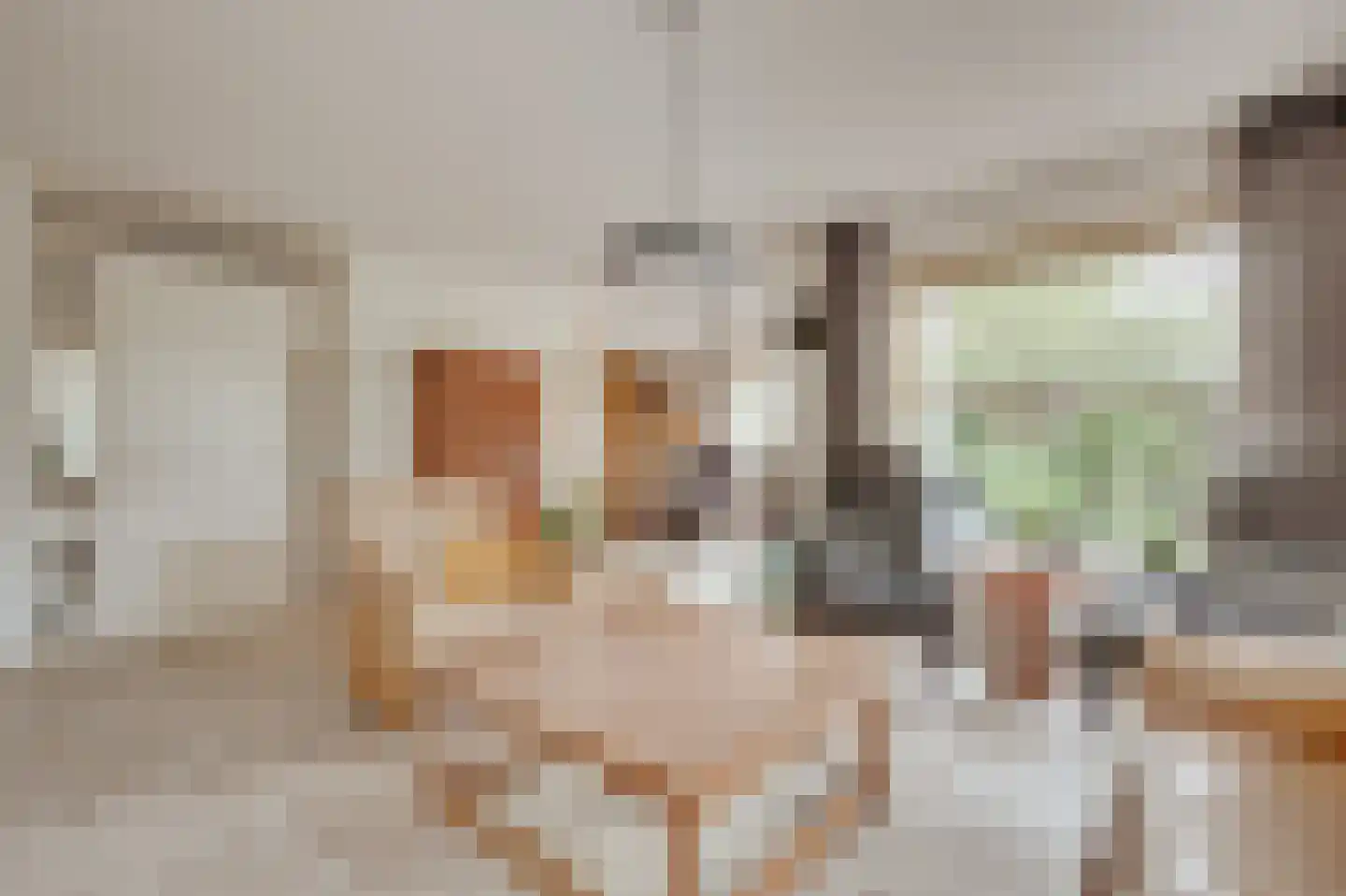 Valckeslotlaan 145 Goes thumbnail 9