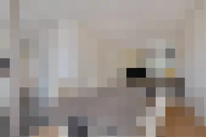 Valckeslotlaan 19 Goes thumbnail 16