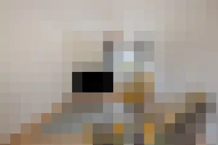 Valckeslotlaan 19 Goes thumbnail 17