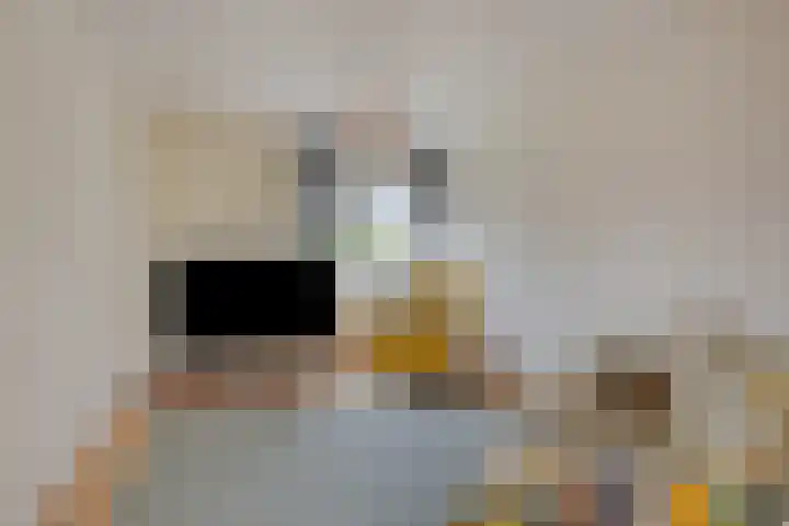 Valckeslotlaan 19 Goes thumbnail 18