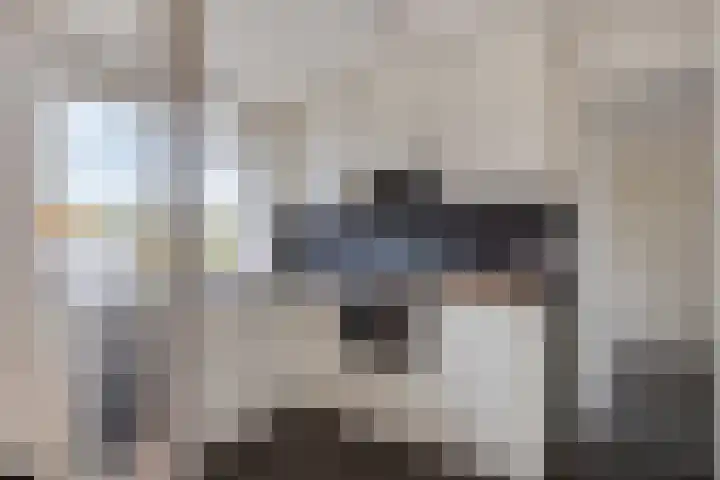 Valckeslotlaan 19 Goes thumbnail 21