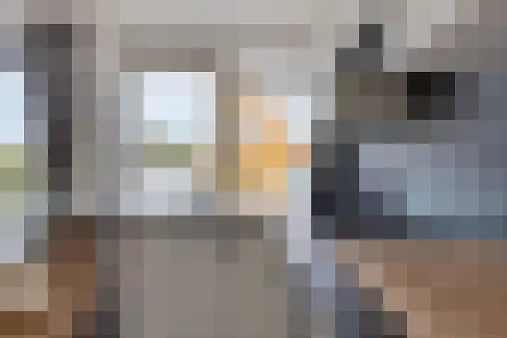 Valckeslotlaan 19 Goes thumbnail 22