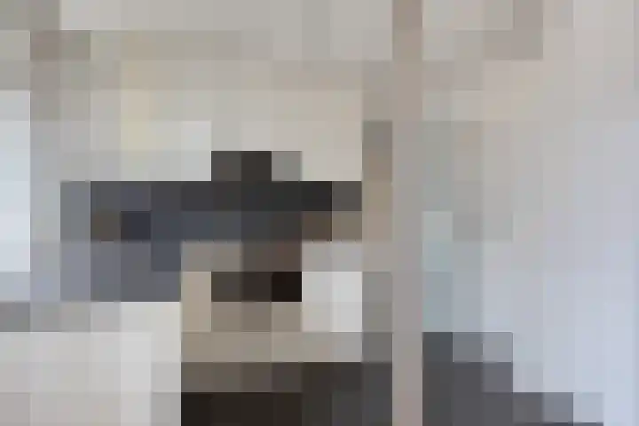 Valckeslotlaan 19 Goes thumbnail 23