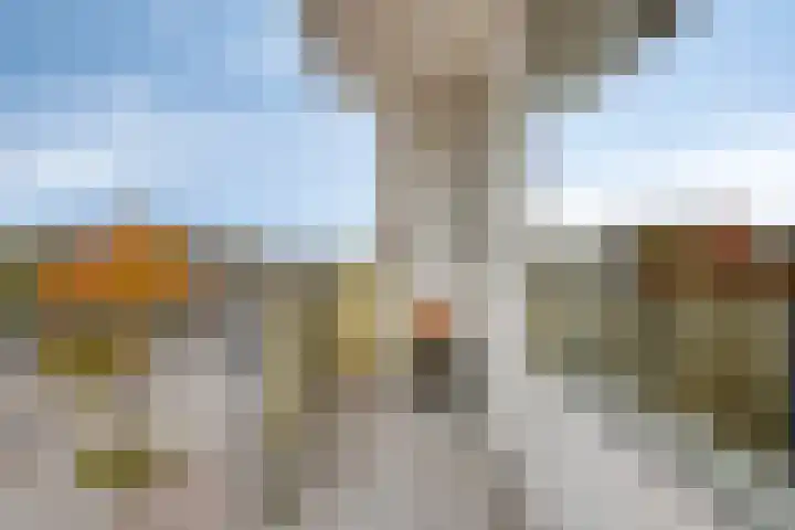 Valckeslotlaan 19 Goes thumbnail 31