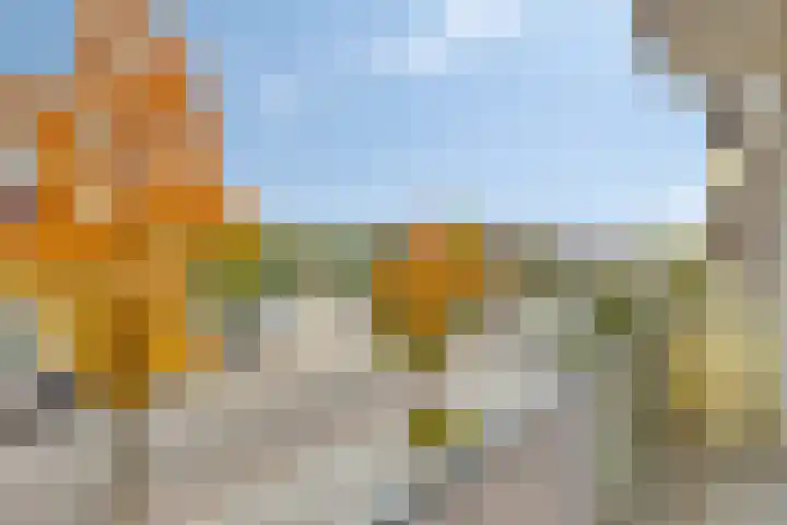 Valckeslotlaan 19 Goes thumbnail 34