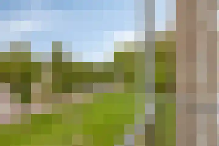 Valckeslotlaan 19 Goes thumbnail 36