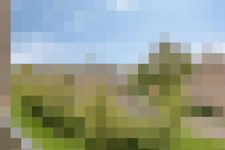 Valckeslotlaan 19 Goes thumbnail 37