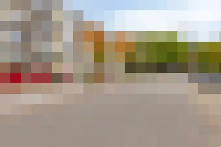 Valckeslotlaan 19 Goes thumbnail 4