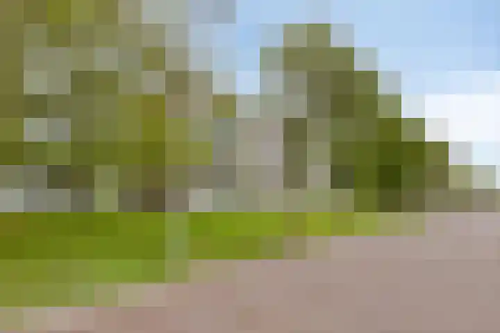 Valckeslotlaan 19 Goes thumbnail 7