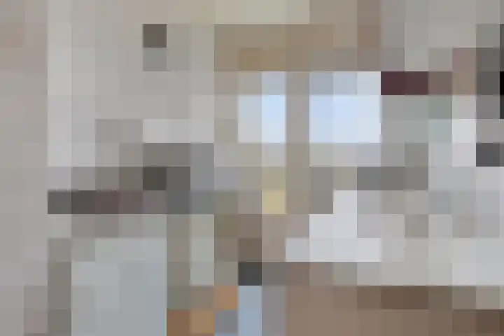 Valckeslotlaan 23 Goes thumbnail 14
